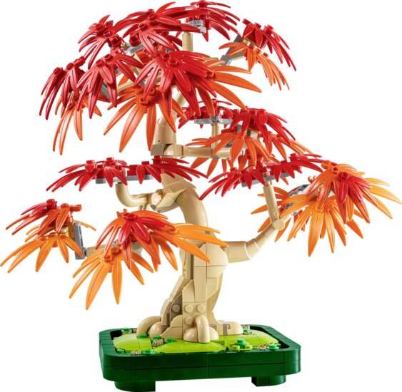 LEGO® Icons, Vöröslevelű japán juhar bonsai