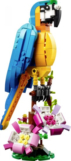 LEGO® Creator, Egzotikus papagáj