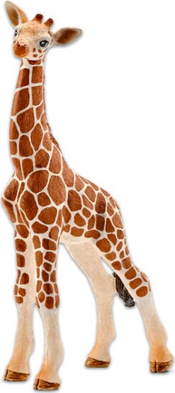 Schleich, Zsiráfborjú figura
