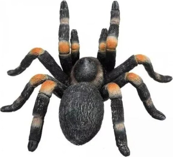 Mojo, Vöröstérdű tarantula figura