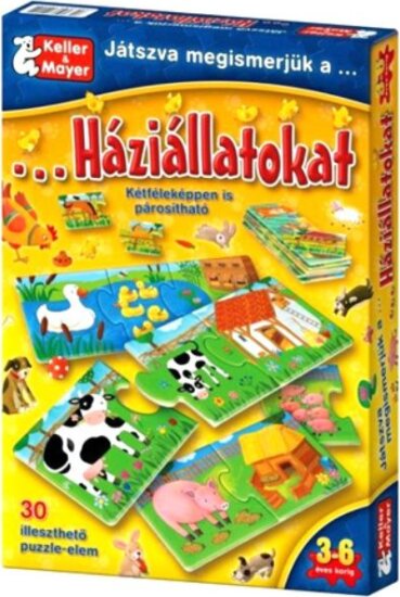 Játszva megismerjük a háziállatokat