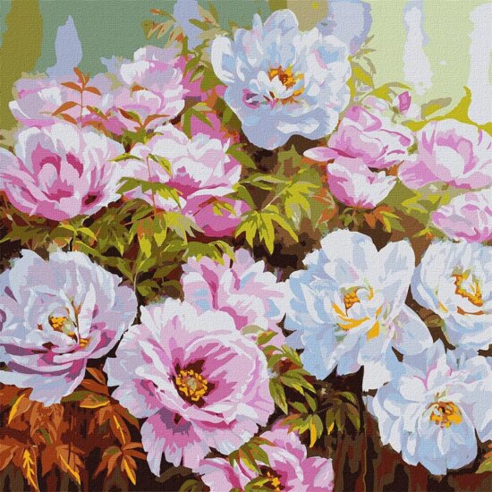 Ideyka, Festés számok szerint, Pünkösdi rózsák, 50 x 50 cm Ideyka, Festés számok szerint, Pünkösdi rózsák, 50 x 50 cm