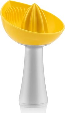 IRIS L-00464 Practica citrusprés