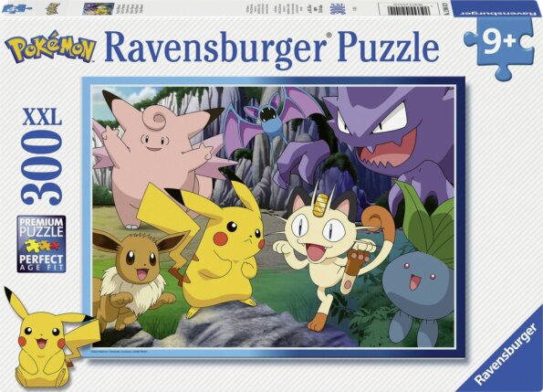 Pokémon puzzle, 300 darabos