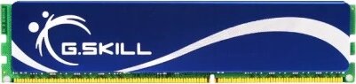 G.Skill 2GB / 667MHz Performance (DDR2, DIMM)