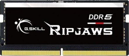 G.Skill 16GB / 4800MHz Ripjaws (DDR5, SODIMM)