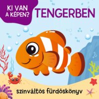 Ki van a képen? Tengerben, színváltós fürdőskönyv