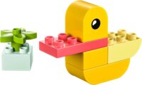 LEGO® Duplo™, Első kacsám