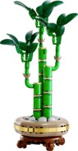 LEGO® Botanicals, Szerencsebambusz