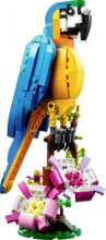 LEGO® Creator, Egzotikus papagáj