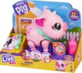 Little Live Pets, Pinki a kismalac