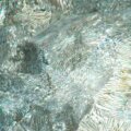 MAGUS Metal D630 BD metallográfiai digitális mikroszkóp