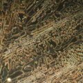 MAGUS Metal D650 BD metallográfiai digitális mikroszkóp