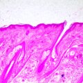 MAGUS Bio 290T biológiai mikroszkóp