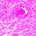 MAGUS Bio 290T biológiai mikroszkóp