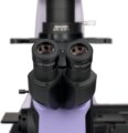 MAGUS Bio V360 biológiai fordított mikroszkóp