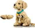 LEGO® Icons, Golden retriever kutyus