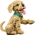 LEGO® Icons, Golden retriever kutyus