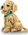 LEGO® Icons, Golden retriever kutyus