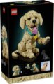 LEGO® Icons, Golden retriever kutyus