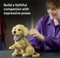 LEGO® Icons, Golden retriever kutyus