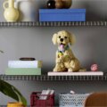 LEGO® Icons, Golden retriever kutyus