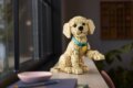LEGO® Icons, Golden retriever kutyus