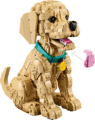 LEGO® Icons, Golden retriever kutyus