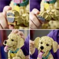 LEGO® Icons, Golden retriever kutyus