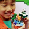 LEGO® Minecraft®, Steve tajgai kalandjai