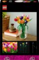 LEGO® Botanicals, Tulipáncsokor