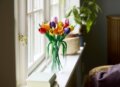 LEGO® Botanicals, Tulipáncsokor