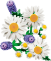 LEGO® Botanicals, Százszorszépek