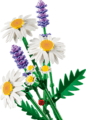 LEGO® Botanicals, Százszorszépek