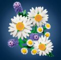 LEGO® Botanicals, Százszorszépek