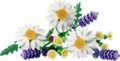 LEGO® Botanicals, Százszorszépek