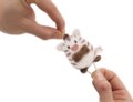 NICI MyMochi, Stripey a zebra mini plüssfigura, 5 cm