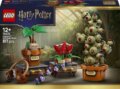LEGO® Harry Potter™, A Roxfort™-i gyógynövénytanóra növényei