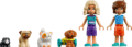 LEGO® Friends, Egy vidám nap az aquaparkban