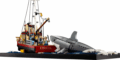 LEGO® Ideas, A cápa