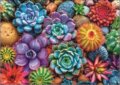 Trefl, Színpompás pozsgások puzzle, 1000 darabos