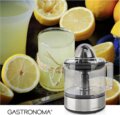 Gastronoma 18230101 citrusprés, 40W, ezüst