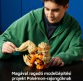 LEGO® Pokémon, Arcanine