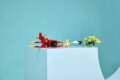 LEGO® Sonic the Hedgehog™, Tails Tornado-1 repülője
