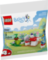 LEGO® Bluey, Bluey teadélutánja