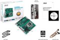 Asus Pro H610T D4-CSM alaplap