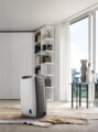 DeLonghi Tasciugo AriaDry Light DNS65 páramentesítő