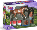 Schleich Horse Club, Hannah nyugati kalandja játékszett