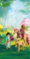 Playmobil Fantasy & Magic, Tündér kirándulás