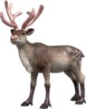 Schleich, Karácsonyi rénszarvas játékfigura